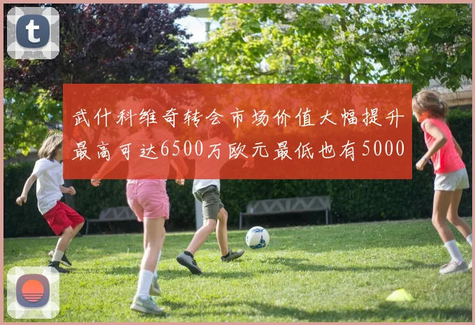 武什科维奇转会市场价值大幅提升最高可达6500万欧元最低也有5000万欧元