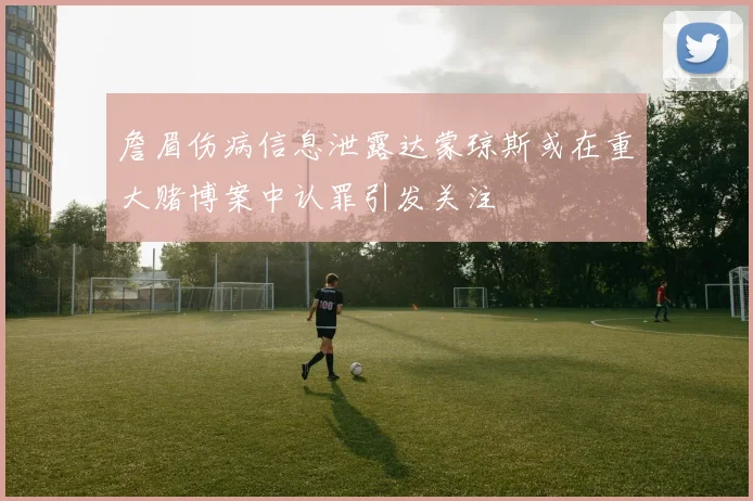 詹眉伤病信息泄露达蒙琼斯或在重大赌博案中认罪引发关注